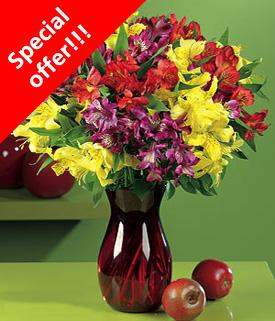 Flores a New Jersey USA. Florerias New Jersey Envios Florales USA Peruvian  Lilies