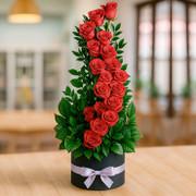 Espiral de Belleza, México, México