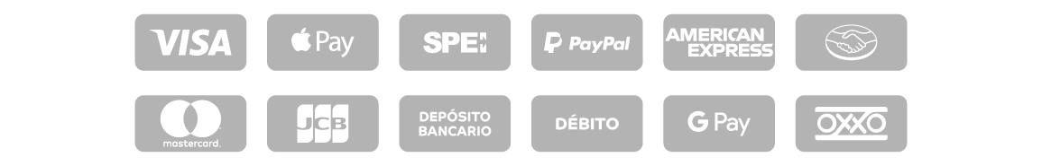 Formas de Pago - México