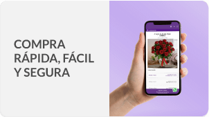 Compra rápida en México