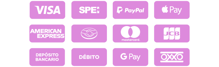 Formas de Pago - Mineral de La Reforma-Hidalgo