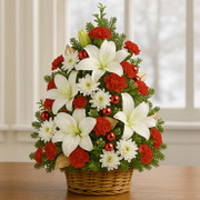 Hogar en Navidad, México, México