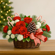 Encanto Navideño, México, México