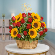 SunKiss, México, Mineral de La Reforma-Hidalgo